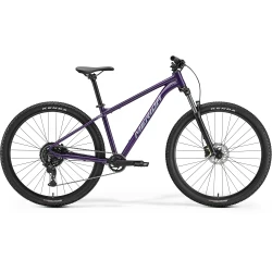 Big Nine 20 - Dark Purple (Blue)