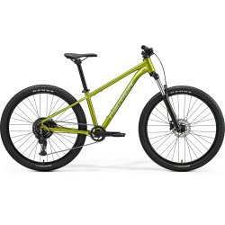 Big Seven 20 - Fall Green (Silvergreen)